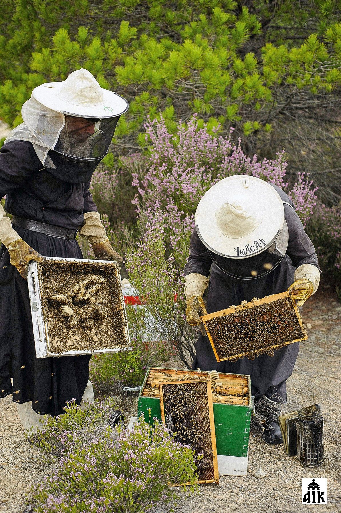 Foto Honigernte durch griechische Mönche am Berg Athos